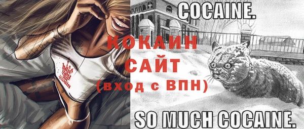 2c-b Пересвет
