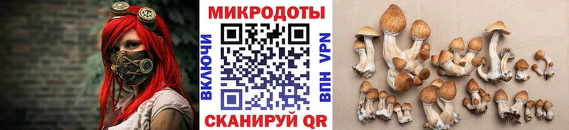 Галлюциногенные грибы MAGIC MUSHROOMS  blacksprut ССЫЛКА  Зубцов 